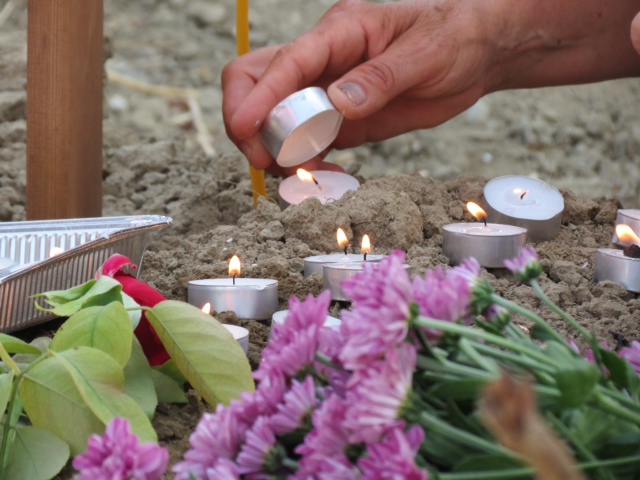 Ορνίθι 8.2015